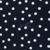 SW082427 101597