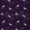 SW082341 999647