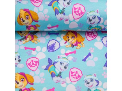 079562 pawpatrol 119842 eos