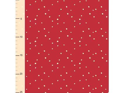 Internet 20260313 124043 3