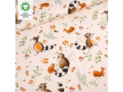 biojersey fridolin und seine freunde gots