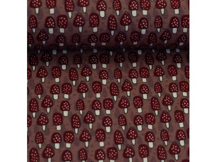 082467 100435 amanita bienvenidocolorido ballen