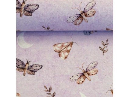 Snímek obrazovky 2025 12 17 093737