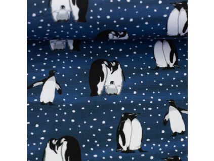 082771 597596 arcticanimals jatiju ballen