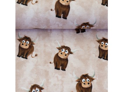 082755 231172 holycow mrsmintdesign ballen