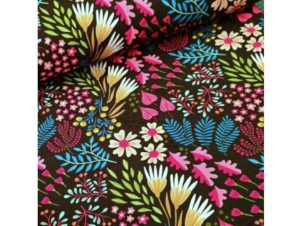 584017255 10230893462782598 5634632271008247970 n