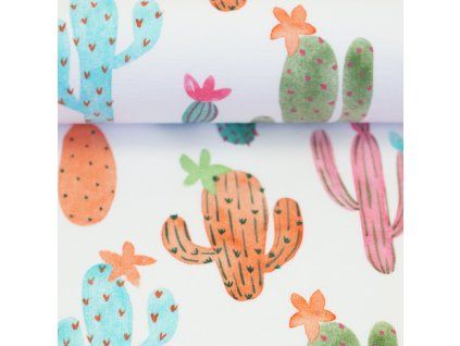 082835 763011 cactuscuties hipsomhap ballen