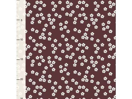 Internet 20260313 125357 2