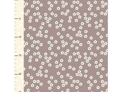 Internet 20260313 125259 2