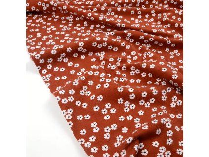 Internet 20260313 124733 3