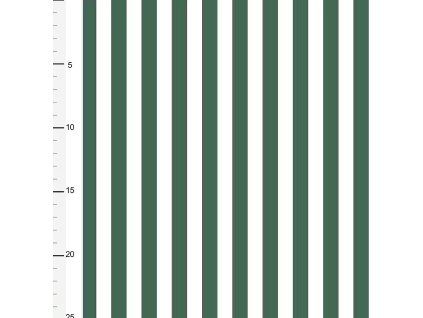 Internet 20260313 124832 1
