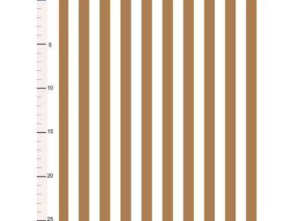 Internet 20260313 125103 2