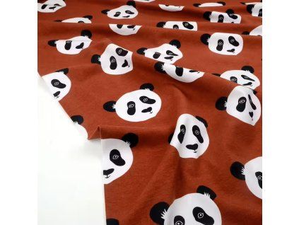 Internet 20260313 123408 6