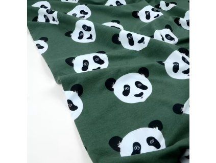 Internet 20260313 123437 4