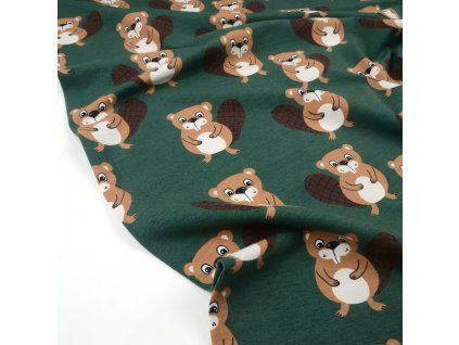 Internet 20260313 131304 3