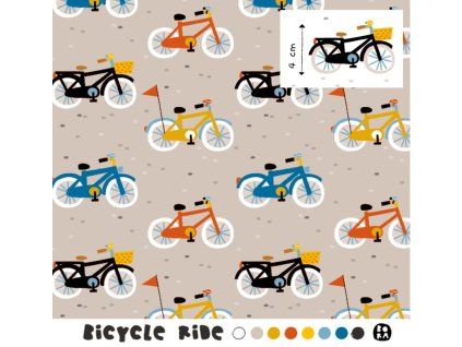 Bicycle Ride