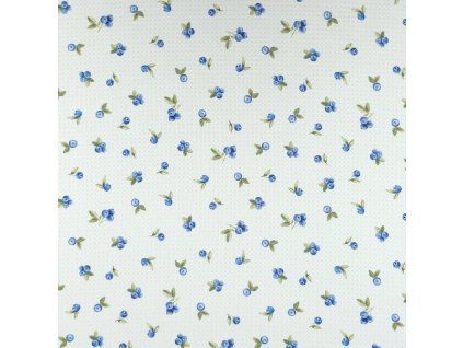 870 mikrovafle boruvky