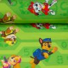 079562 pawpatrol 103603 eos