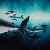 082688 sharktank thorstenberger 40 2