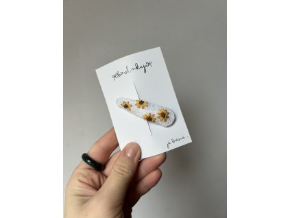 Sponka slunečnice bílá