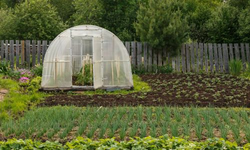 Miért érdemes fóliasátorban növényeket termeszteni?