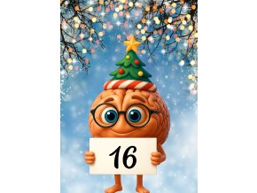 Vločkové šifrování(15)