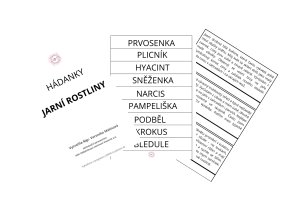 Bez názvu (297 x 210 mm)(45)