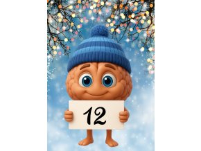 Vločkové šifrování(11)