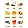 Letní ovoce(9)