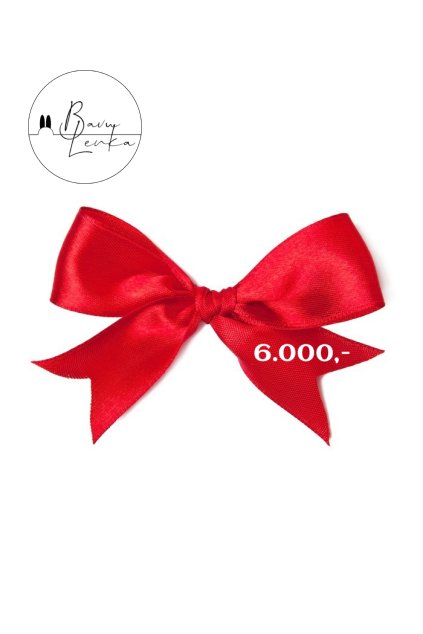 Dárkový poukaz 6.000,-