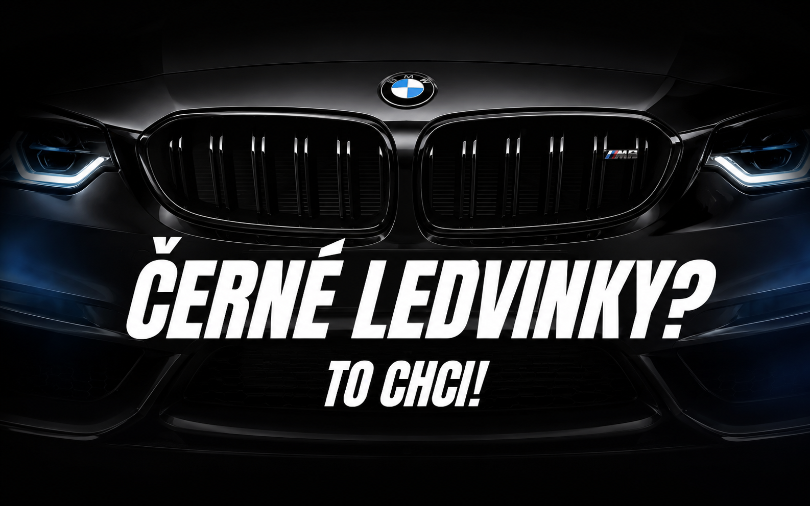 Ledvinky
