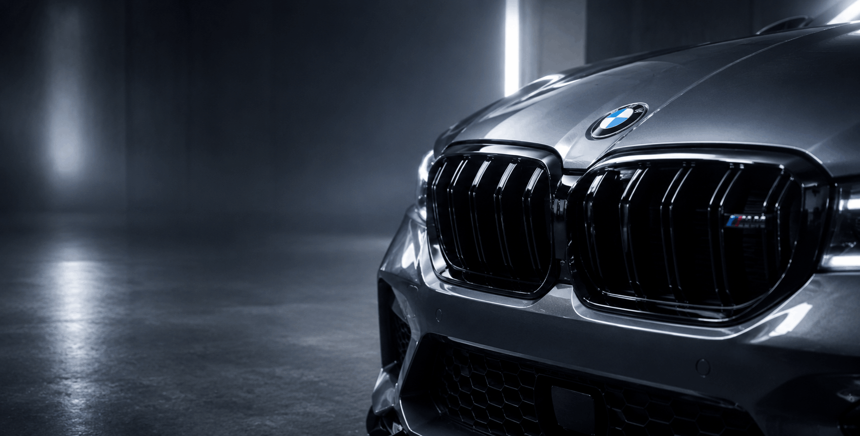 Ledvinky a masky pro BMW