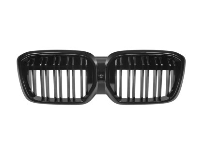 ledvinky ix3 08 (1)