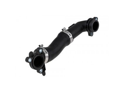 CPP BM 101