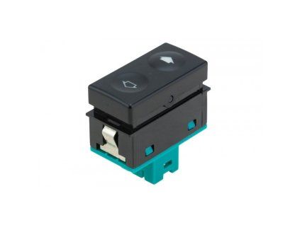 EWS BM 161