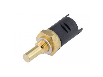 ECT BM 010