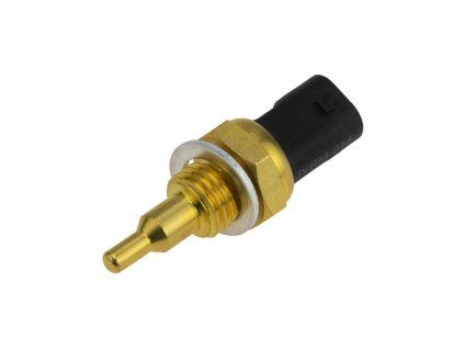 ECT BM 014