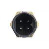 ECT BM 010.