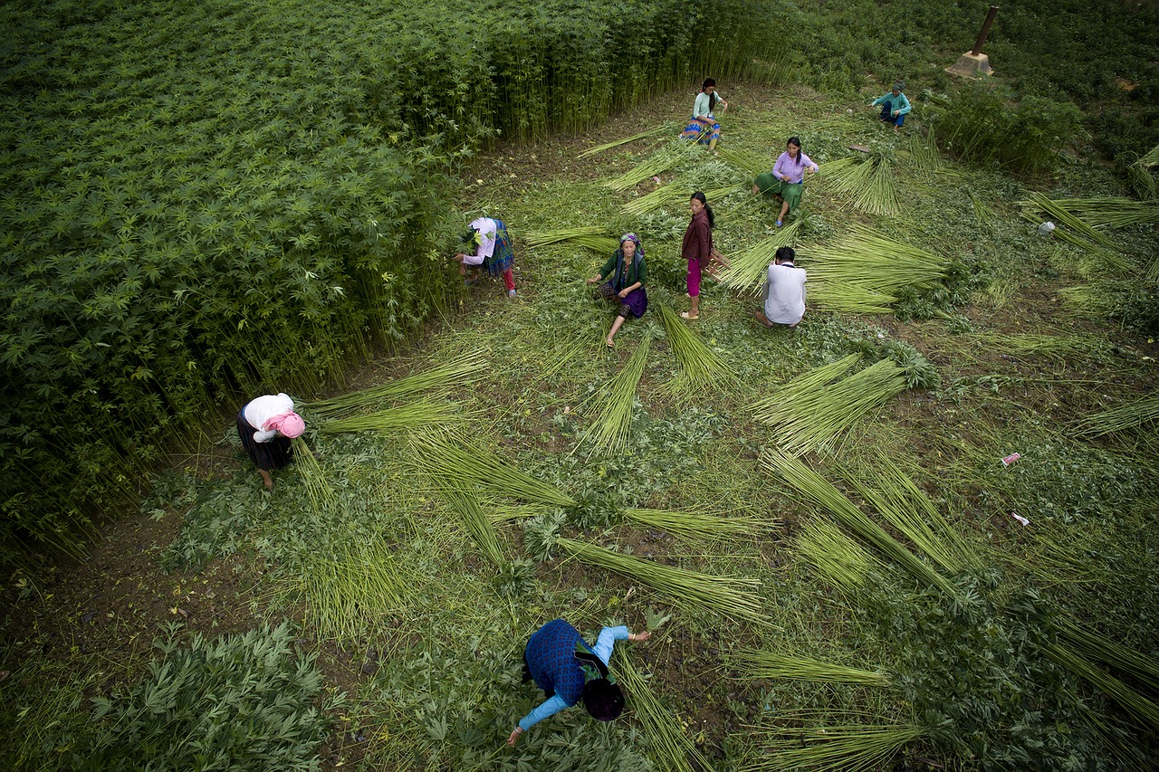 ZAMĚŘENO JEN NA LEN