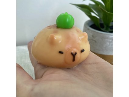 kapybara2