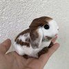 Squishy Králíček Beránek