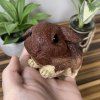 Squishy Králíček Beránek