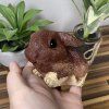 Squishy Králíček Beránek