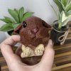 Squishy Králíček Beránek