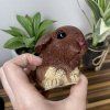 Squishy Králíček Beránek