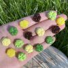 Squishy Mini Mix Tlapky Limitka