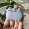 pusheen2
