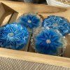 Podtácky s květy modré, 2 varianty, 4ks