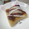 toast 5