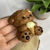 Squishy Pejsek se Zmrzlinkou
